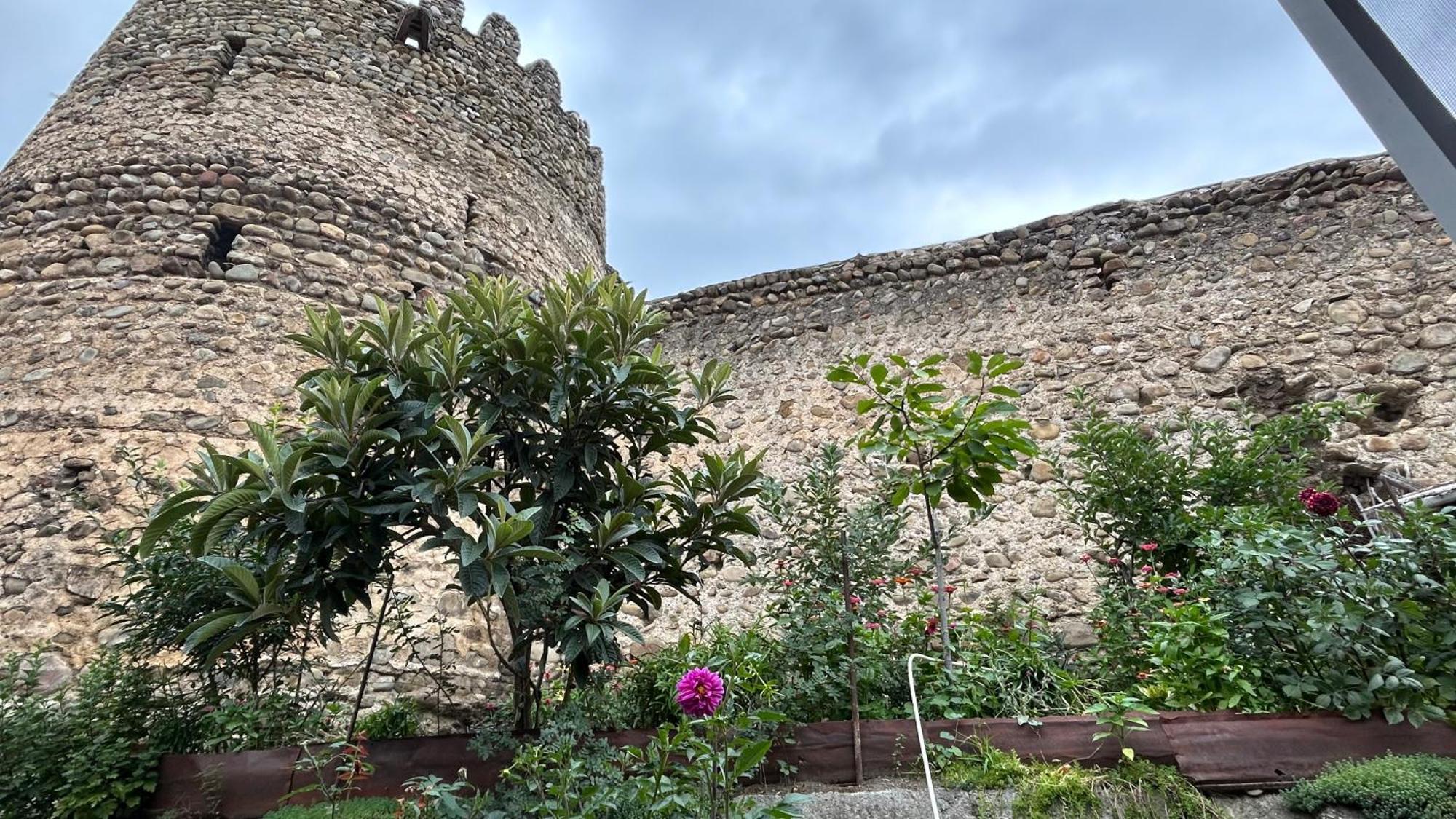 Guest House Maria سينغناغي المظهر الخارجي الصورة